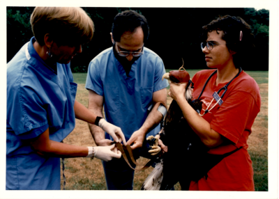Tufts Wildlife Clinic