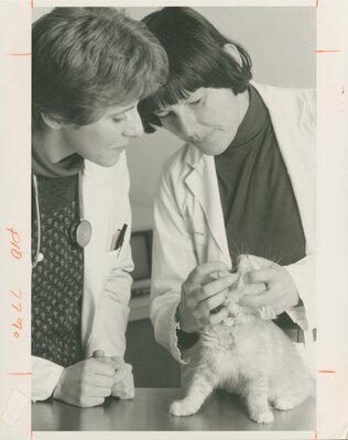 Dr. Susan Cotter
